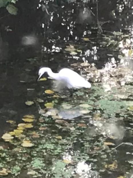 Reveil Aux Chants Des Oiseaux Asse-le-Riboul 외부 사진