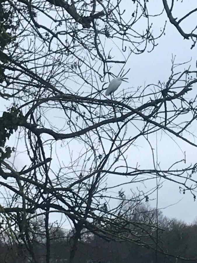 Reveil Aux Chants Des Oiseaux Asse-le-Riboul 외부 사진