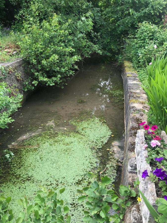 Reveil Aux Chants Des Oiseaux Asse-le-Riboul 외부 사진